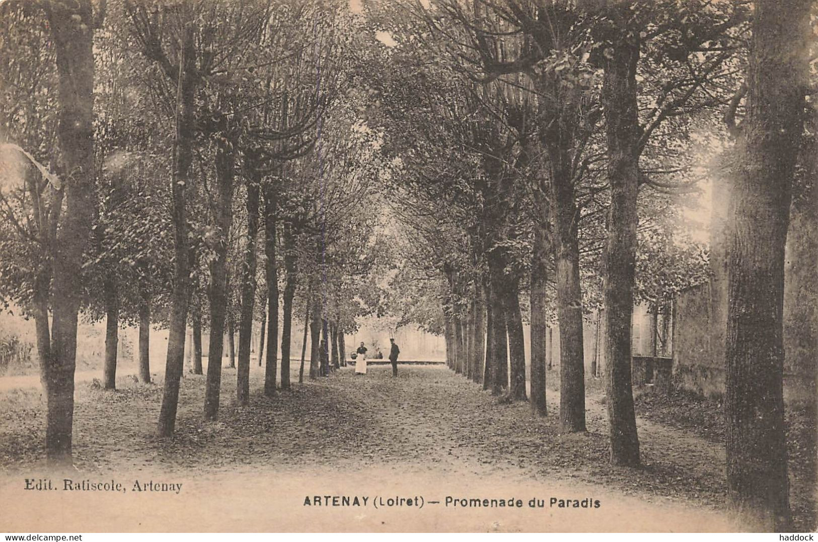 ARTENAY : PROMENADE DU PARADIS - Artenay