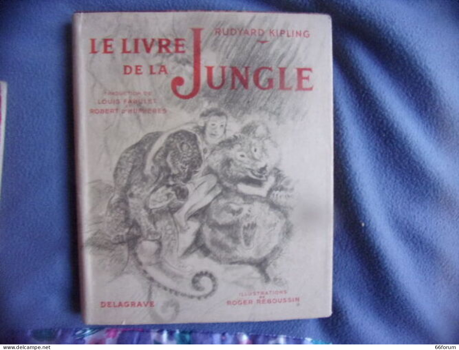 Le Livre De La Jungle - Cuentos