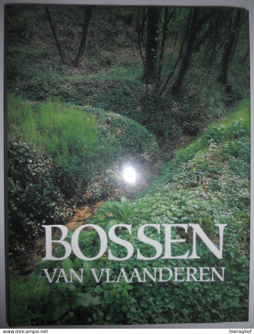 BOSSEN Van VLAANDEREN Een Ecologische Studie Guido Tack Paul Van Den Bremt Martin Hermy Foto Georges Charlier Natuur Bos - Other & Unclassified