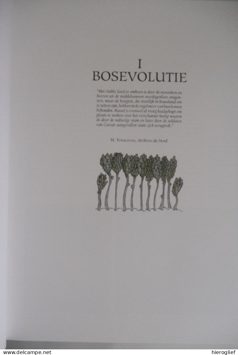 BOSSEN Van VLAANDEREN Een Ecologische Studie Guido Tack Paul Van Den Bremt Martin Hermy Foto Georges Charlier Natuur Bos - Altri & Non Classificati