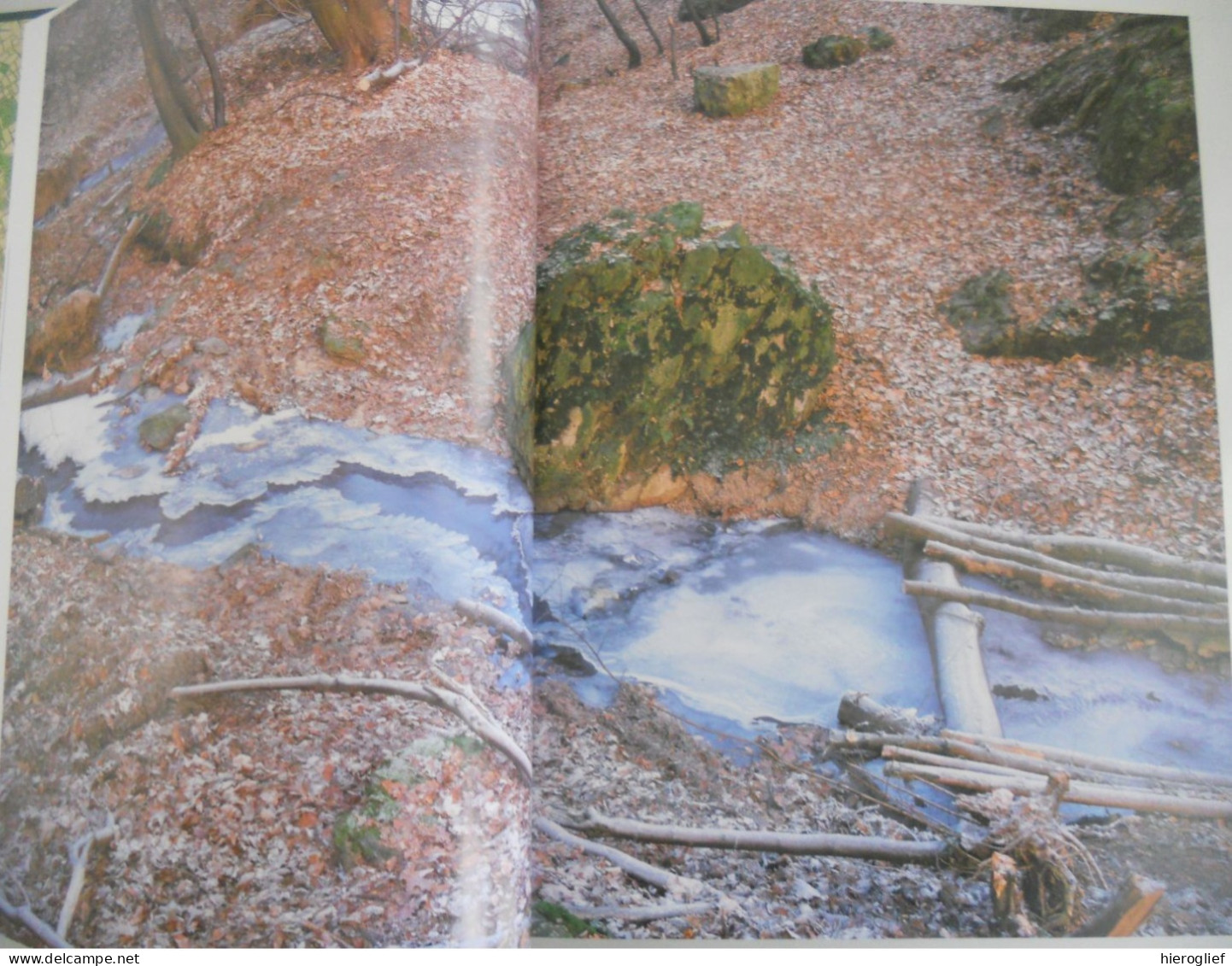 BOSSEN van VLAANDEREN een ecologische studie Guido Tack Paul Van Den Bremt Martin Hermy foto Georges Charlier natuur bos