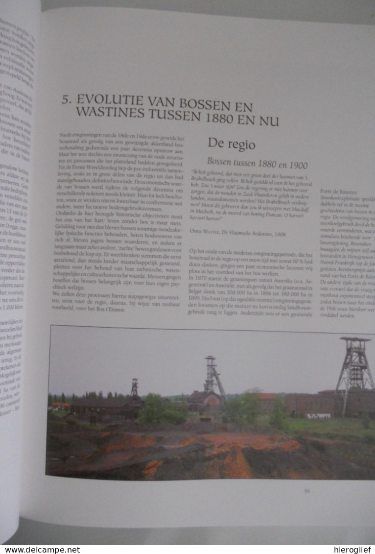 BOSSEN van VLAANDEREN een ecologische studie Guido Tack Paul Van Den Bremt Martin Hermy foto Georges Charlier natuur bos