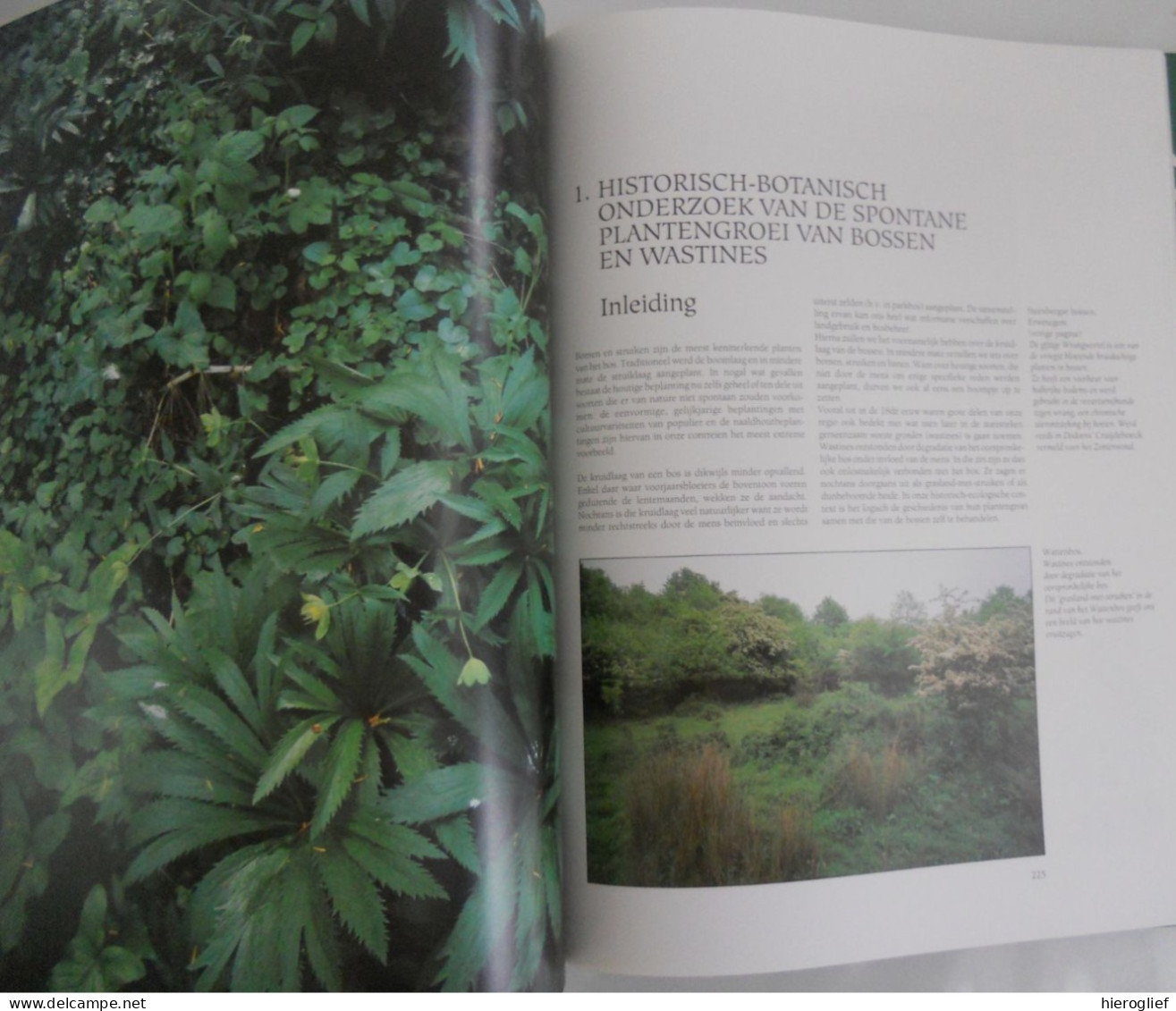 BOSSEN van VLAANDEREN een ecologische studie Guido Tack Paul Van Den Bremt Martin Hermy foto Georges Charlier natuur bos