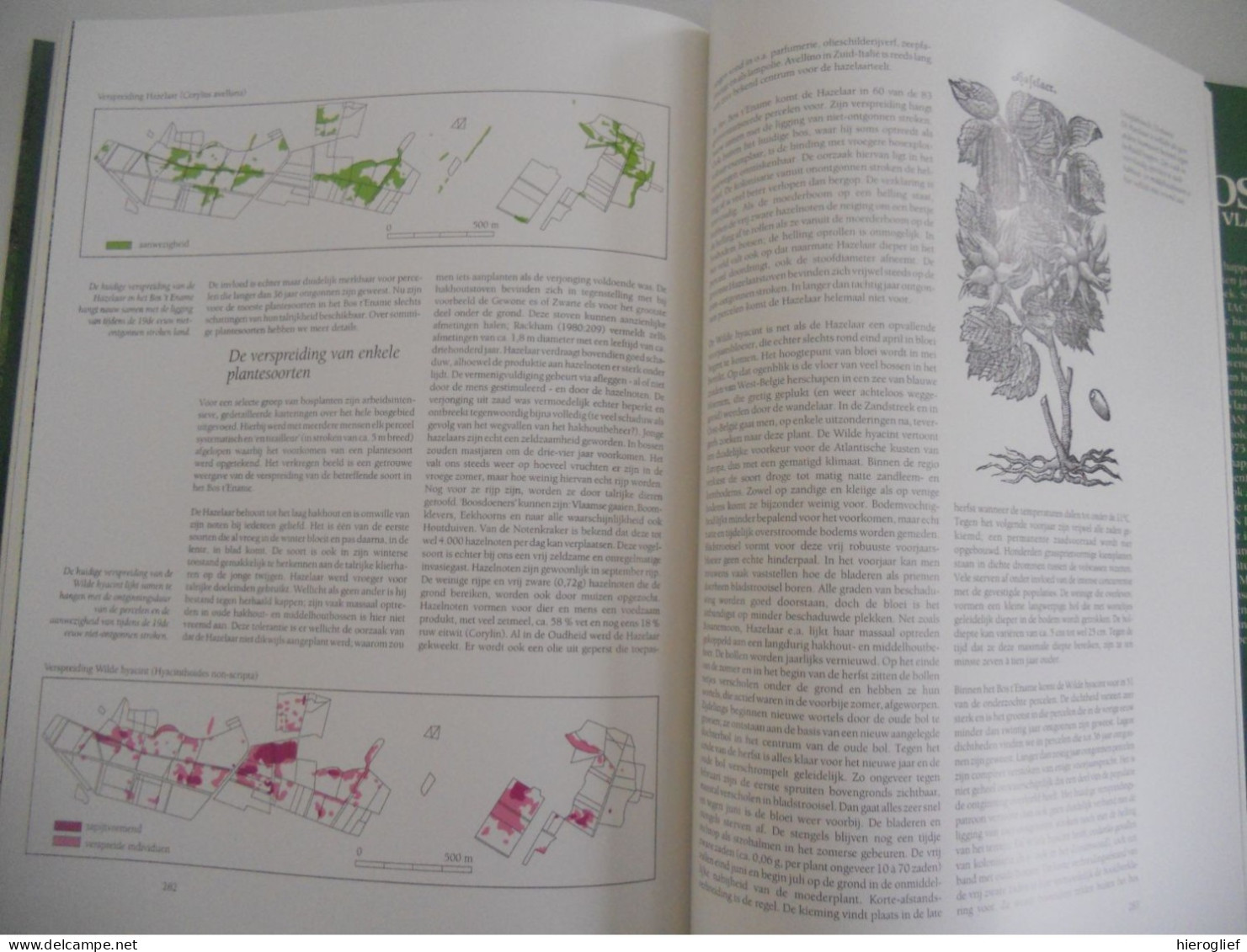 BOSSEN van VLAANDEREN een ecologische studie Guido Tack Paul Van Den Bremt Martin Hermy foto Georges Charlier natuur bos