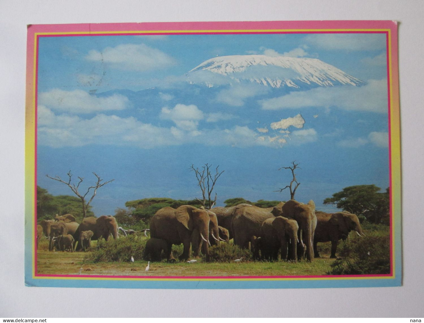 Kenya:Elephant Au Kilimanjaro C.post.1995 Bel Affranchis./Elephant In Front Of Kilimanjaro Post.1995 Nice Franking - Kenya