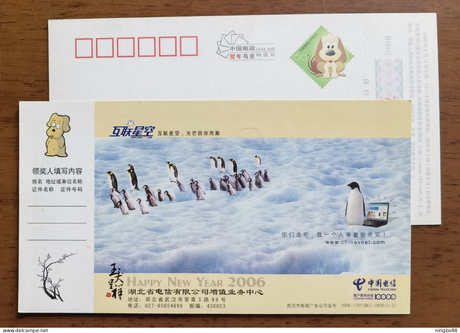 Antarctic Penguin,China 2006 Hubei Telecom Value-added Business Center Advertising Pre-stamped Card - Antarctische Fauna