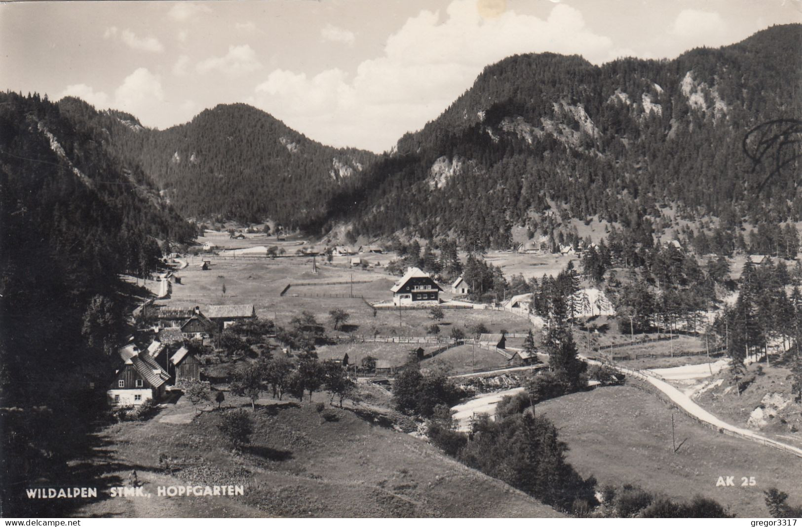 D8210) WILDALPEN - Steiermark - FOTO AK - Straße U. Einzelne Häuser ALT - Wildalpen