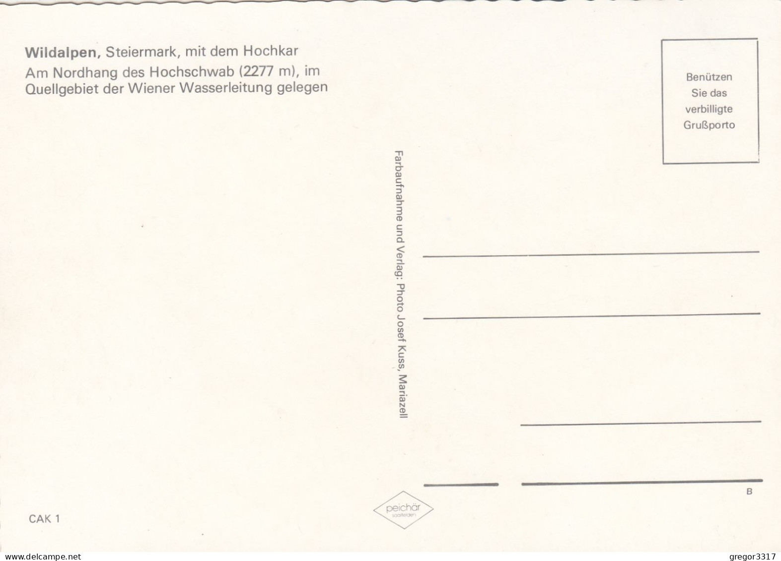 D8222) WILDALPEN - Steiermark Mit Dem Hochkar - Am Nordhang Des Hochschwab - Straße Gasthof Fluss - Wildalpen