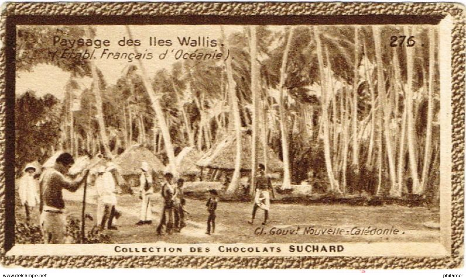 Wallis Futuna Carte Postale Chromo Paysage Cocotier Coconut Case Collection Chocolats Suchard Neuve BE - Storia Postale