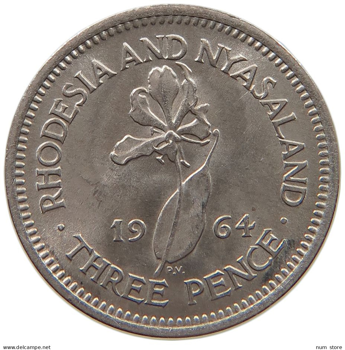 RHODESIA AND NYASALAND 3 PENCE 1964 Elizabeth II. (1952-2022) #c017 0587 - Rhodesia