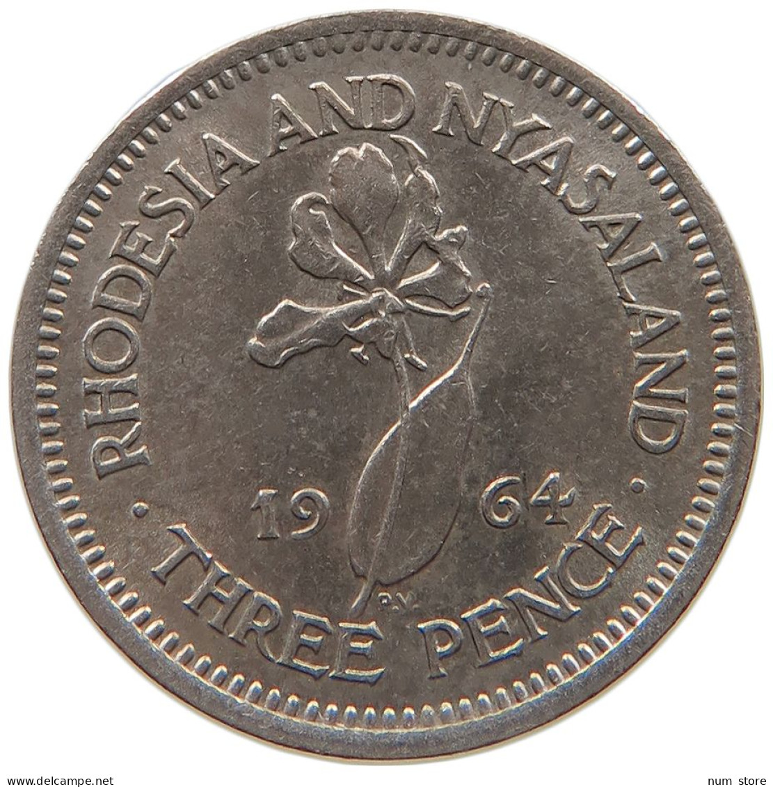 RHODESIA AND NYASALAND 3 PENCE 1964 Elizabeth II. (1952-2022) #a080 0637 - Rhodesië