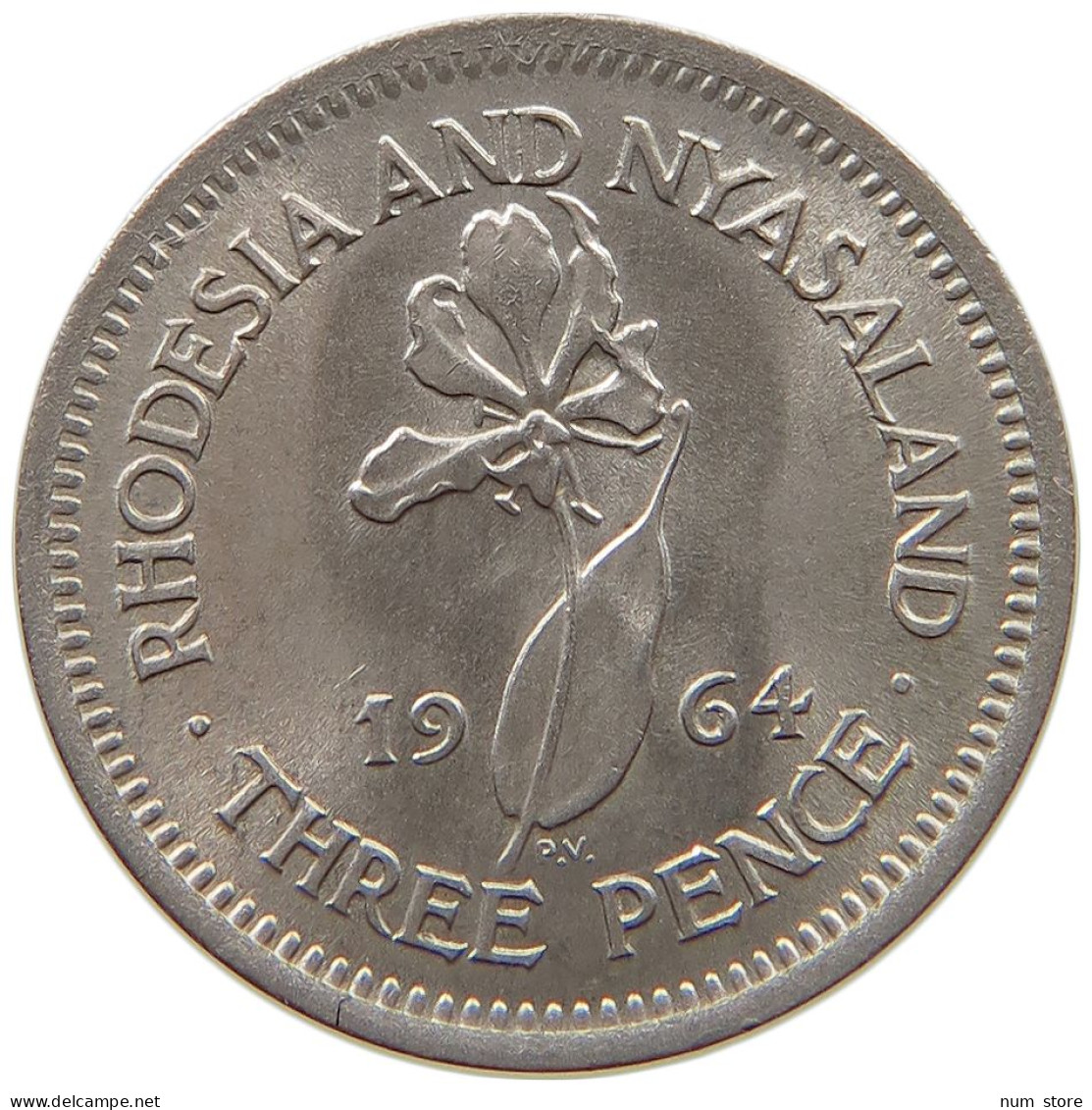 RHODESIA AND NYASALAND 3 PENCE 1964 Elizabeth II. (1952-2022) #s040 0739 - Rhodesië