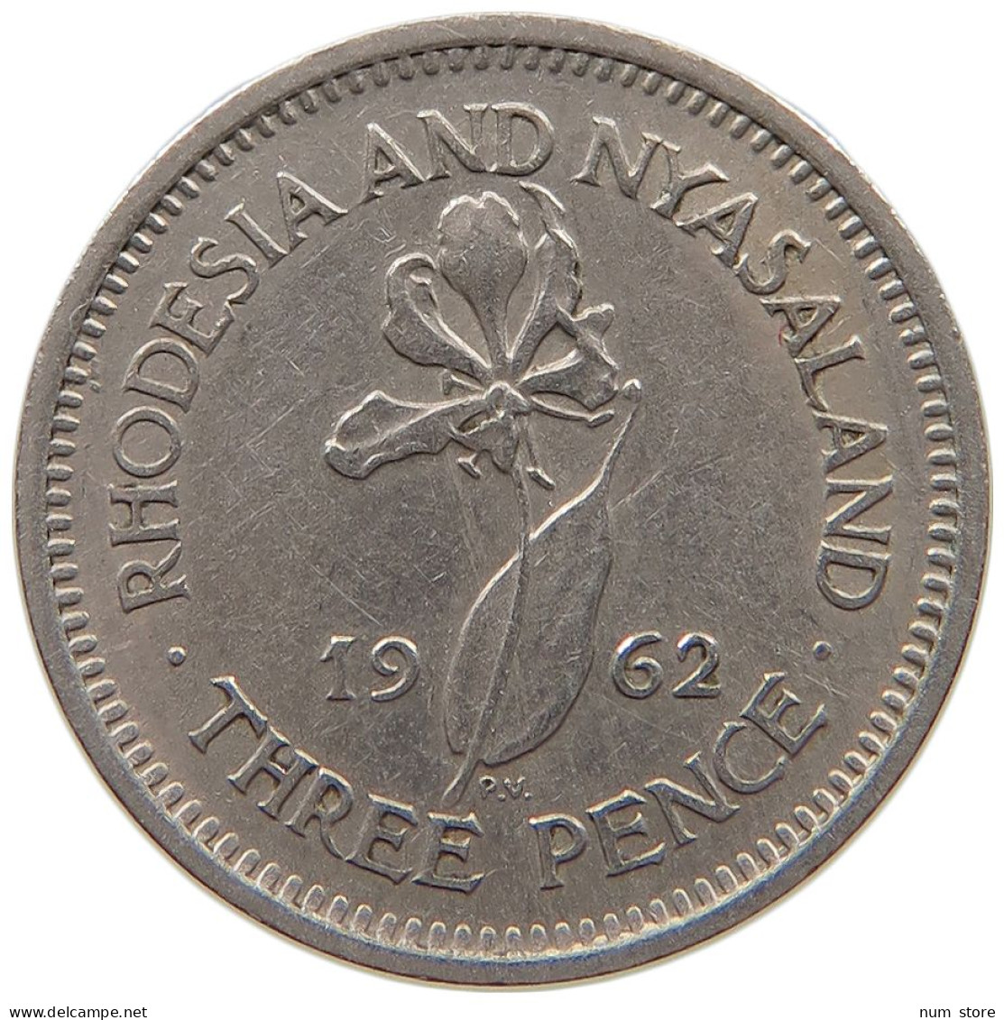 RHODESIA AND NYASALAND 3 PENCE 1962 Elizabeth II. (1952-2022) #c021 0325 - Rhodesia