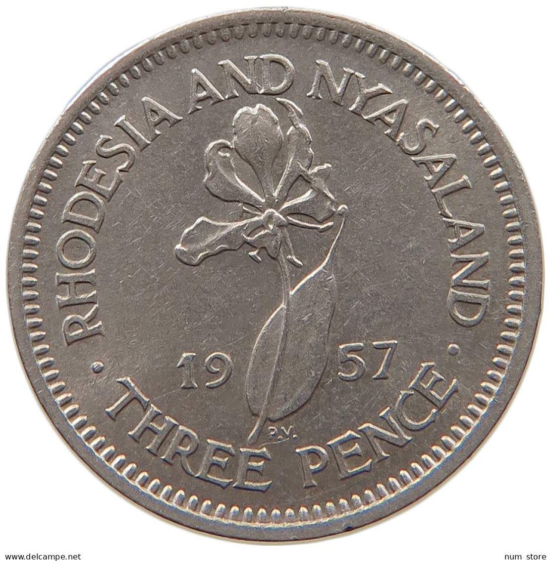 RHODESIA AND NYASALAND 3 PENCE 1957 Elizabeth II. (1952-2022) #s022 0097 - Rhodésie