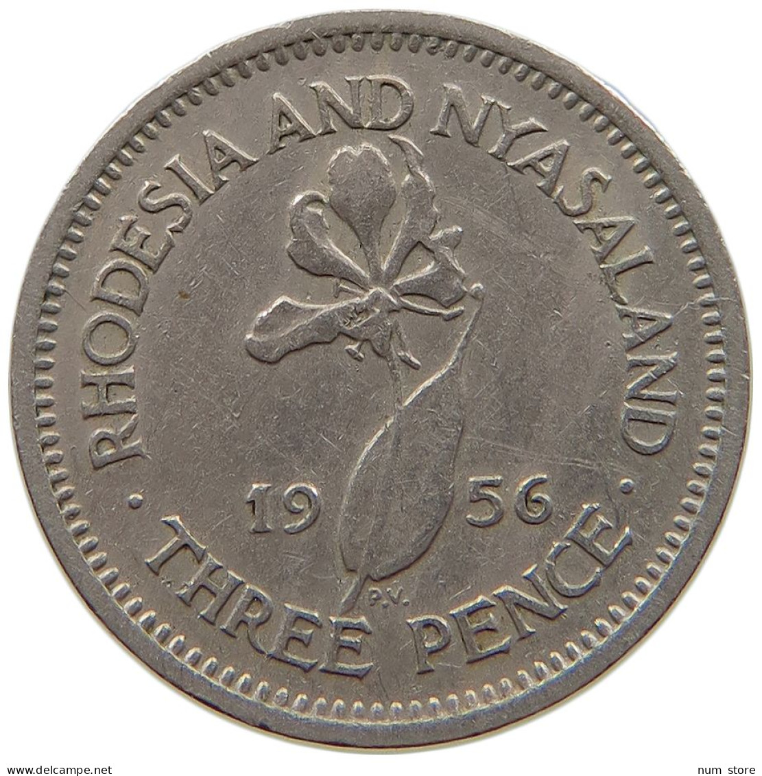 RHODESIA AND NYASALAND 3 PENCE 1956 Elizabeth II. (1952-2022) #a089 0263 - Rhodesia