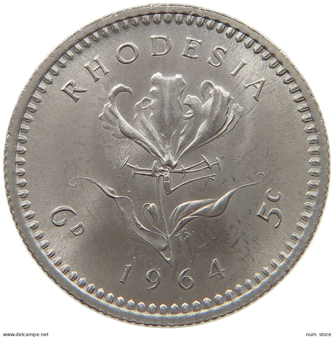 RHODESIA 5 CENTS 1964 Elizabeth II. (1952-2022) #s040 0485 - Rhodesia