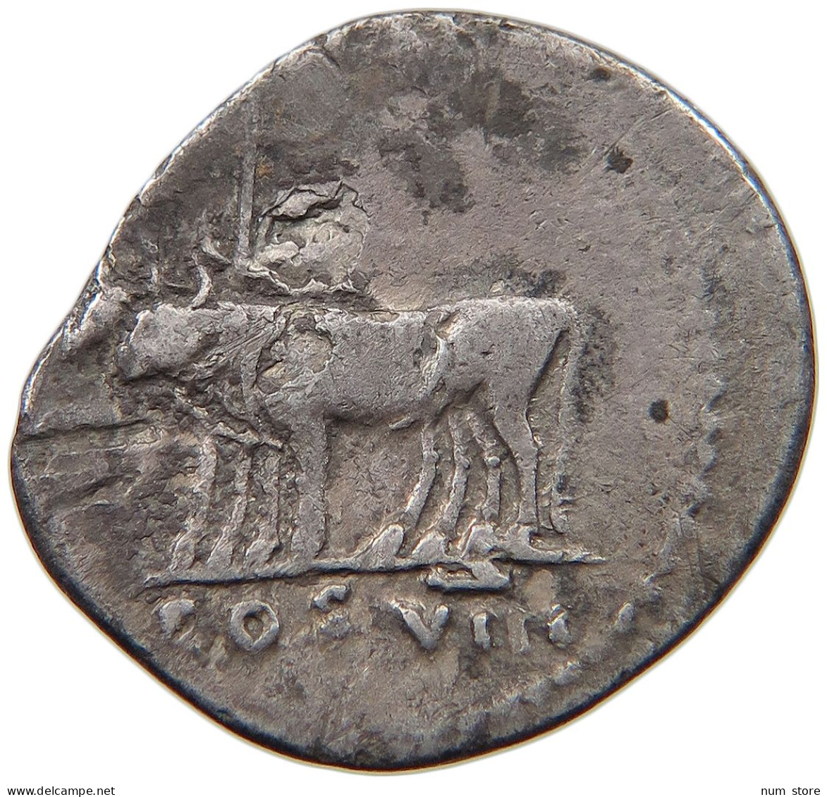 ROME EMPIRE DENAR  Vespasianus (69-79) Pair Of Oxen COS VIII #t110 0207 - La Dinastía Flavia (69 / 96)