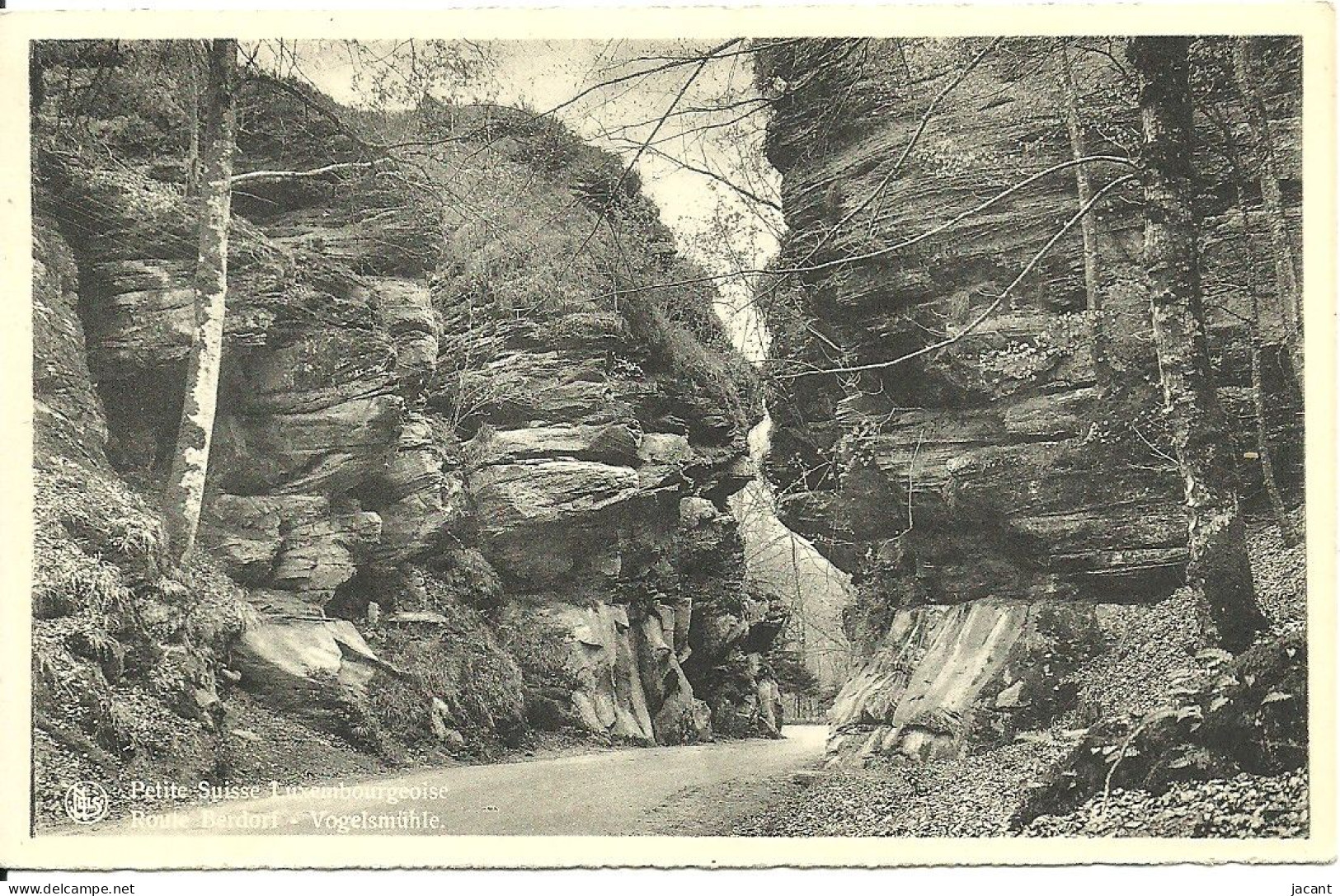 Luxembourg - Petite Suisse Luxembourgeoise - Route Berdorf - Vogelsmuhle - Berdorf