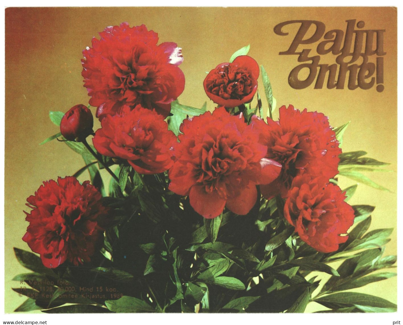 Congratulations! Peonies 1989 Unused Vintage Postcard. Publ: Soviet Estonian Communist Party Publishing House Tallinn - Estonie