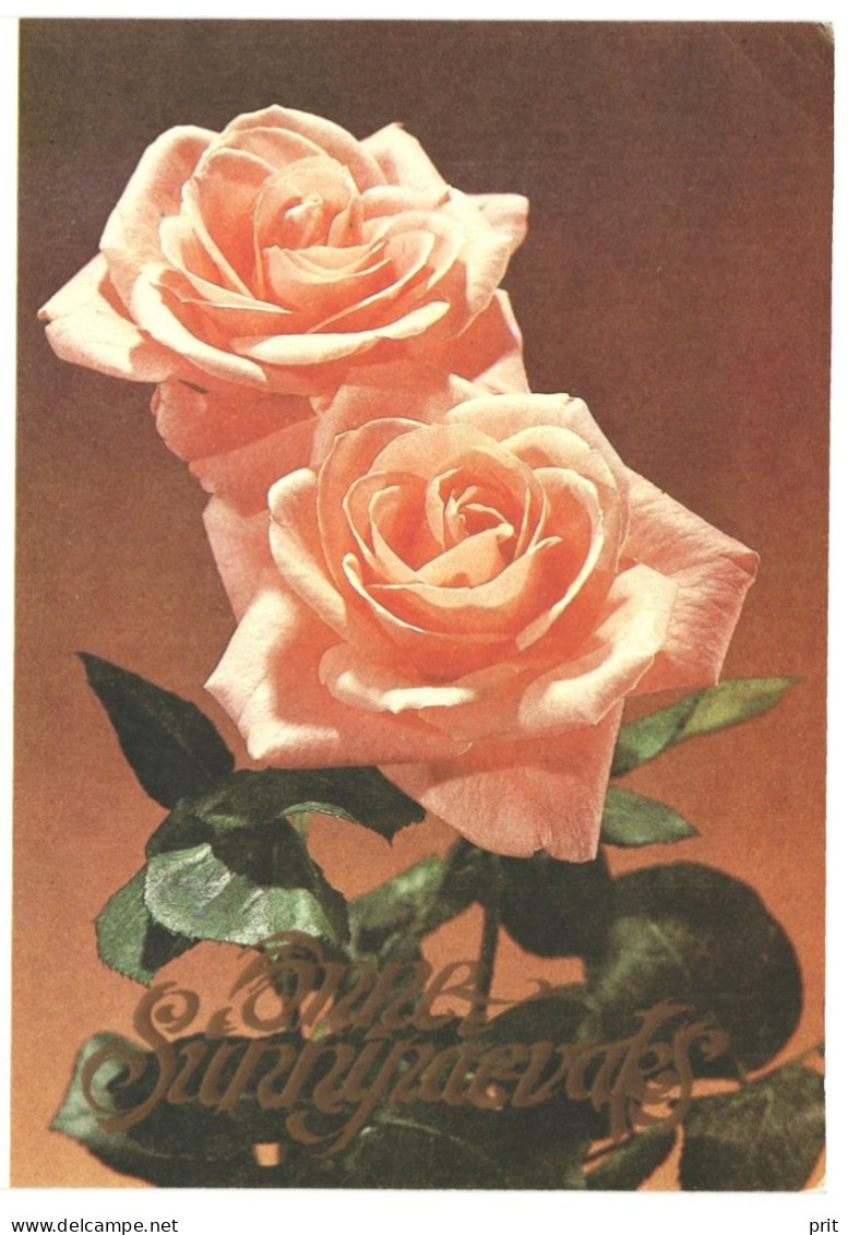 Happy Birthday! Roses 1988 Unused Vintage Postcard. Publ: Soviet Estonian Communist Party Publishing House Tallinn - Estonie