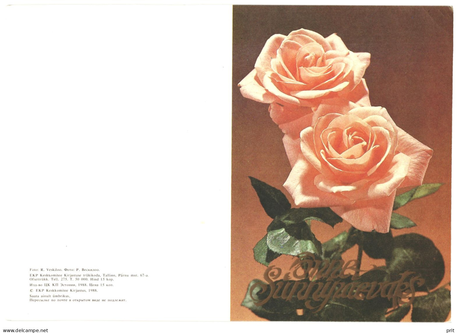 Happy Birthday! Roses 1988 Unused Vintage Postcard. Publ: Soviet Estonian Communist Party Publishing House Tallinn - Estonie