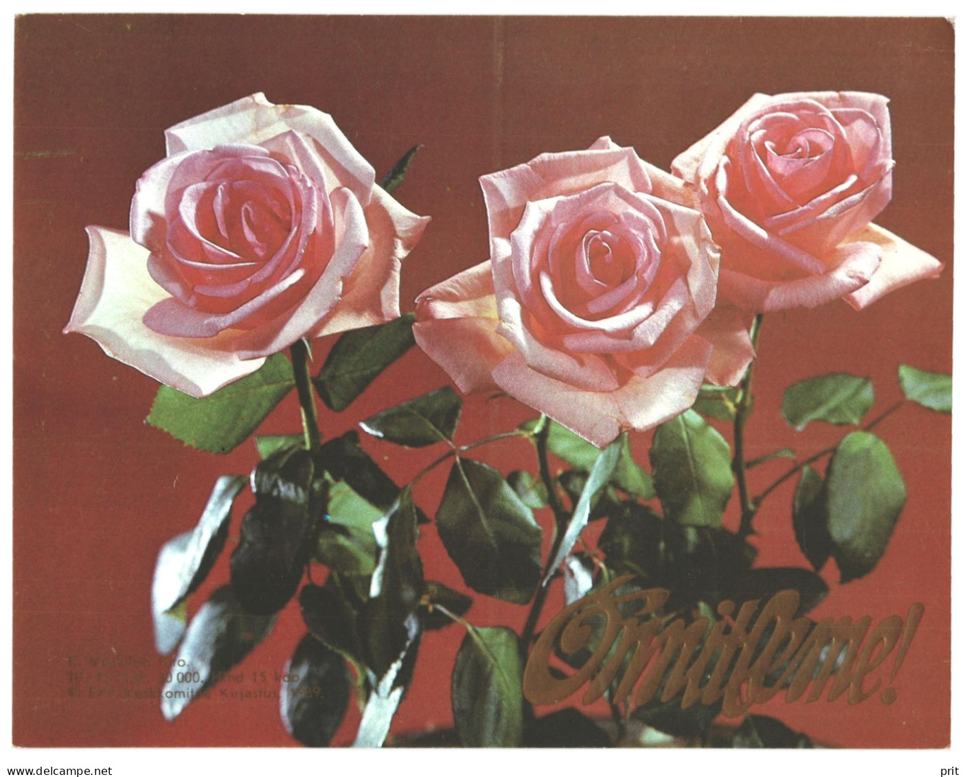 Congratulations! Roses 1989 Unused Two Vintage Postcards. Publ: Soviet Estonian Communist Party Publishing House Tallinn - Estonie