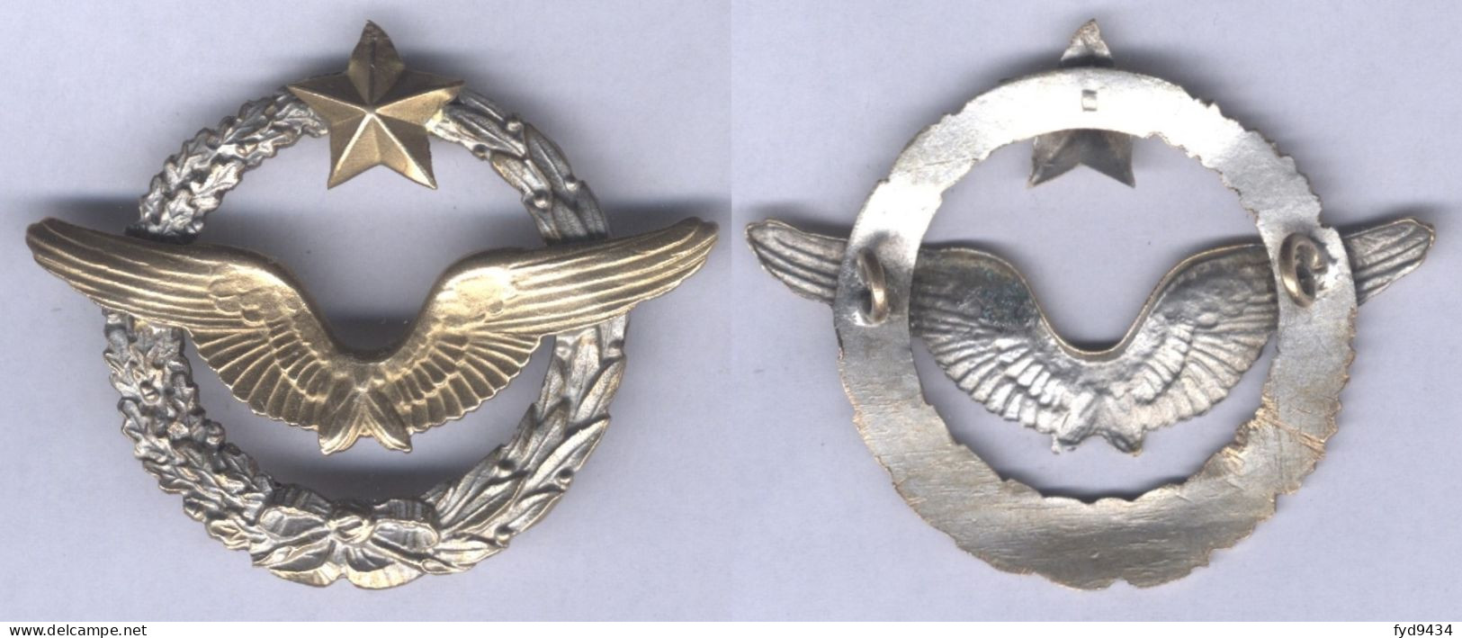 Insigne Du Brevet De Pilote D'Avion ( 41 Mm ) - Armée De L'air