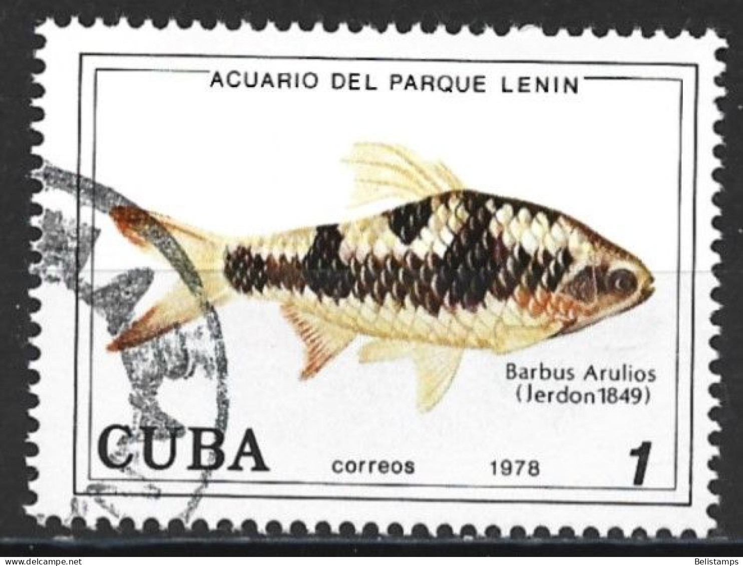Cuba 1978. Scott #2192 (U) Fish, Barbus Arulios - Usados