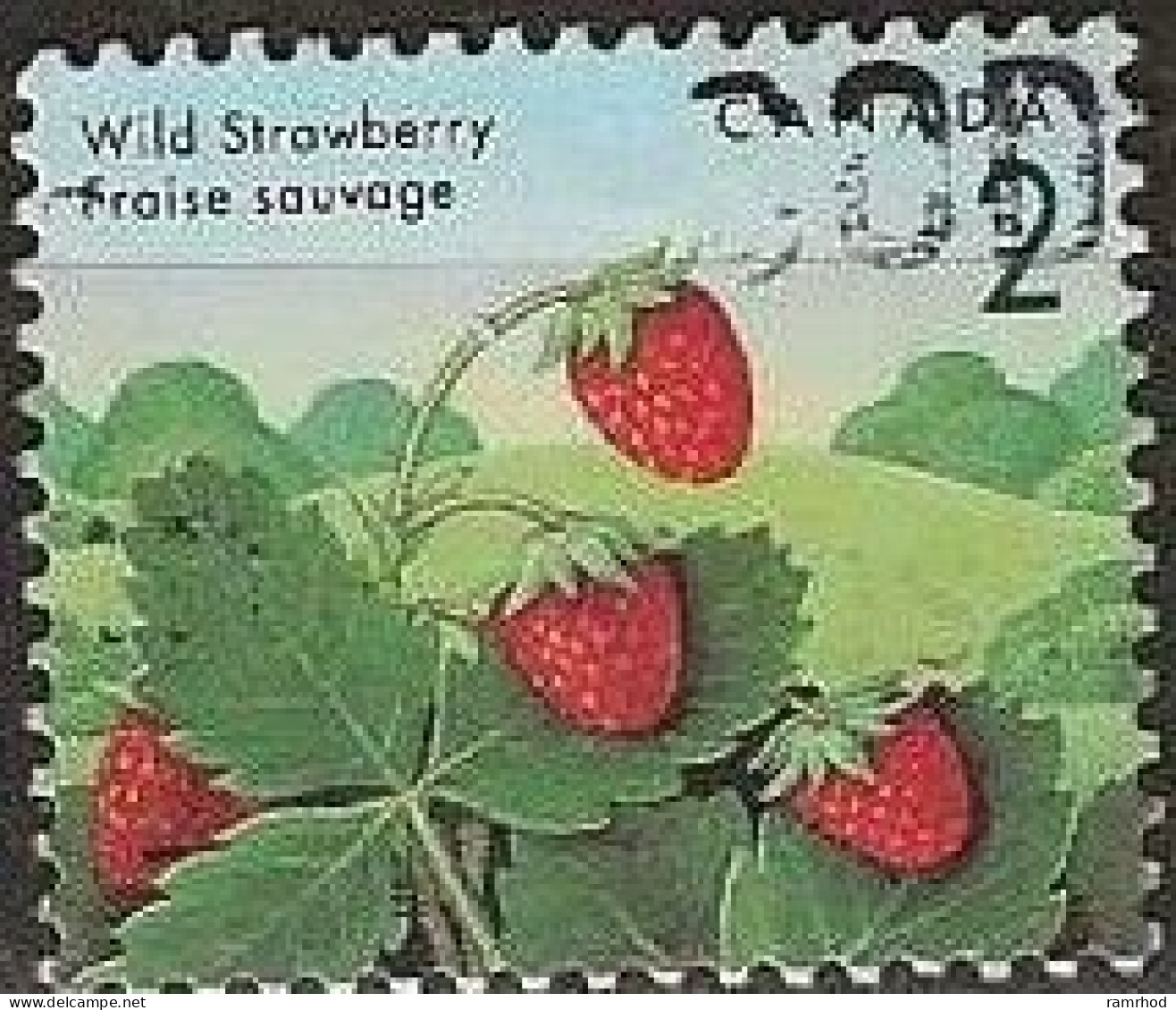 CANADA 1991 Edible Berries - 2c. Wild Strawberry FU - Used Stamps