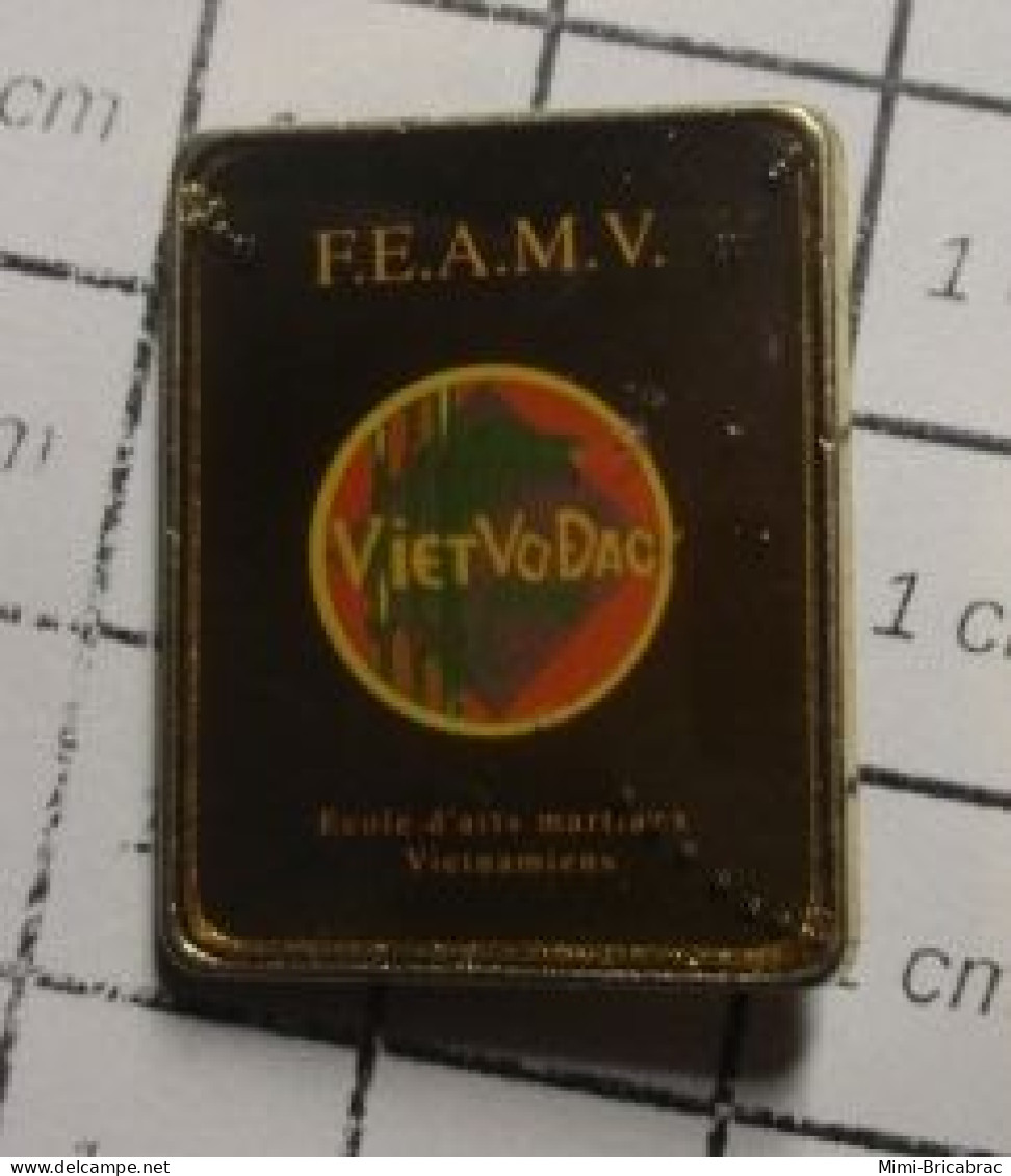 912A Pin's Pins / Beau Et Rare / SPORTS / VIET VO DAO ECOLE D'ARTS MARTIAUX VIETNAMIENS - Judo