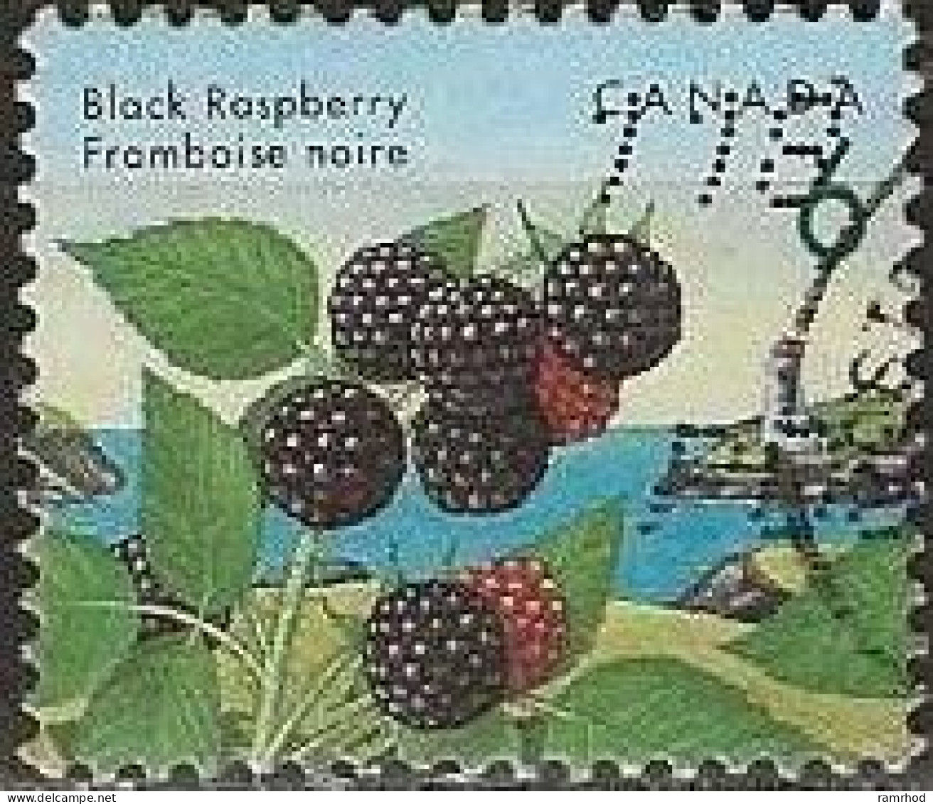 CANADA 1991 Edible Berries - 6c. Black Raspberry FU - Oblitérés