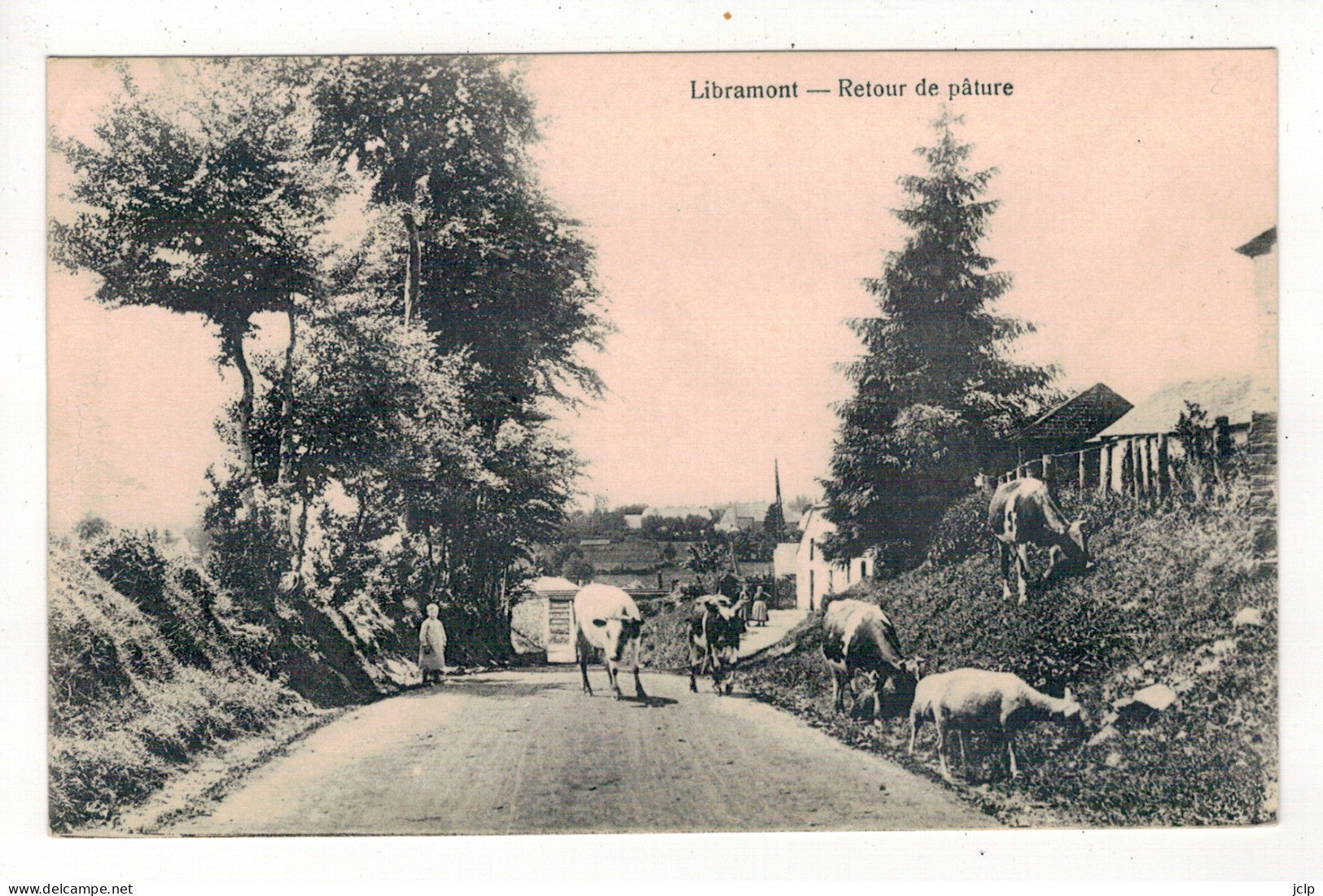 LIBRAMONT - Retour De Pâture. - Libramont-Chevigny