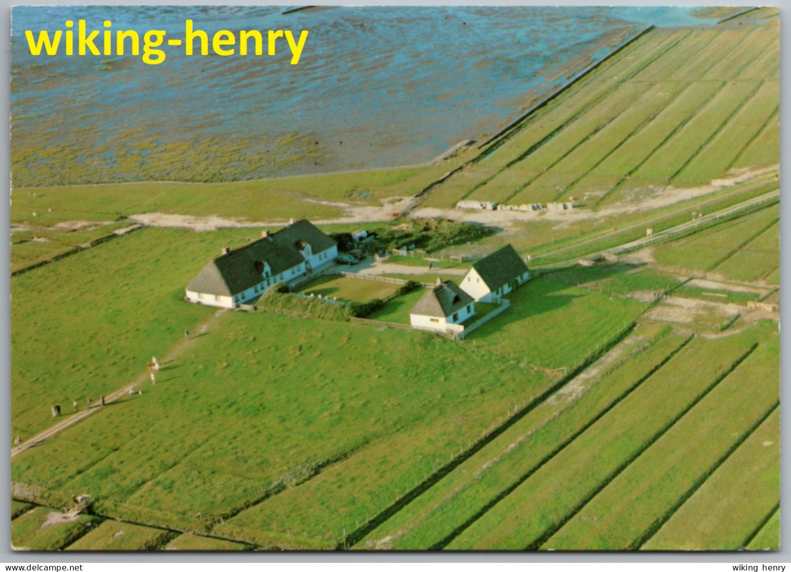 Halligen - Hallig Hamburg - Hamburger Hallig - Luftbild - Halligen