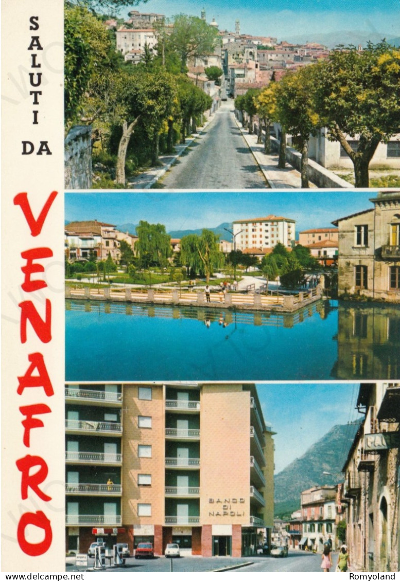 CARTOLINA  VENAFRO,ISERNIA,MOLISE-SALUTI DA VENAFRO-STORIA,MEMORIA,CULTURA,RELIGIONE,BELLA ITALIA,NON VIAGGIATA - Isernia