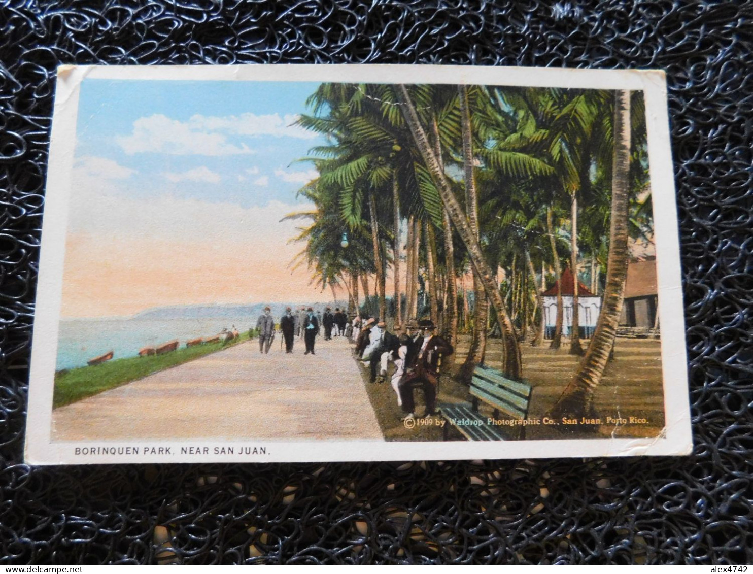 Puerto Rico / Porto Rico, Borinquen Park, Near San Juan, Waldrop Photo, U.S.A.  (B20) - Puerto Rico