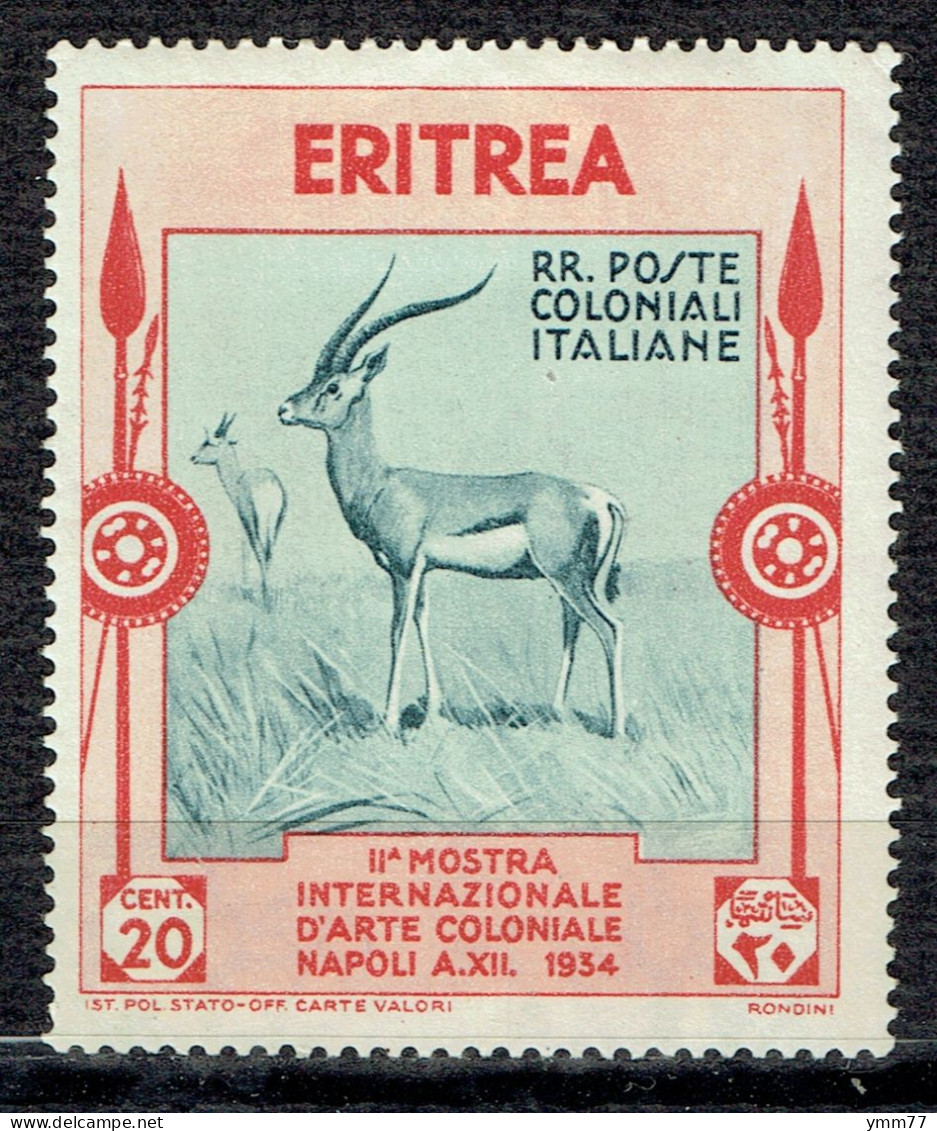 2ème Exposition D'art Colonial à Naples : Gazelles Dorcas - Eritrea