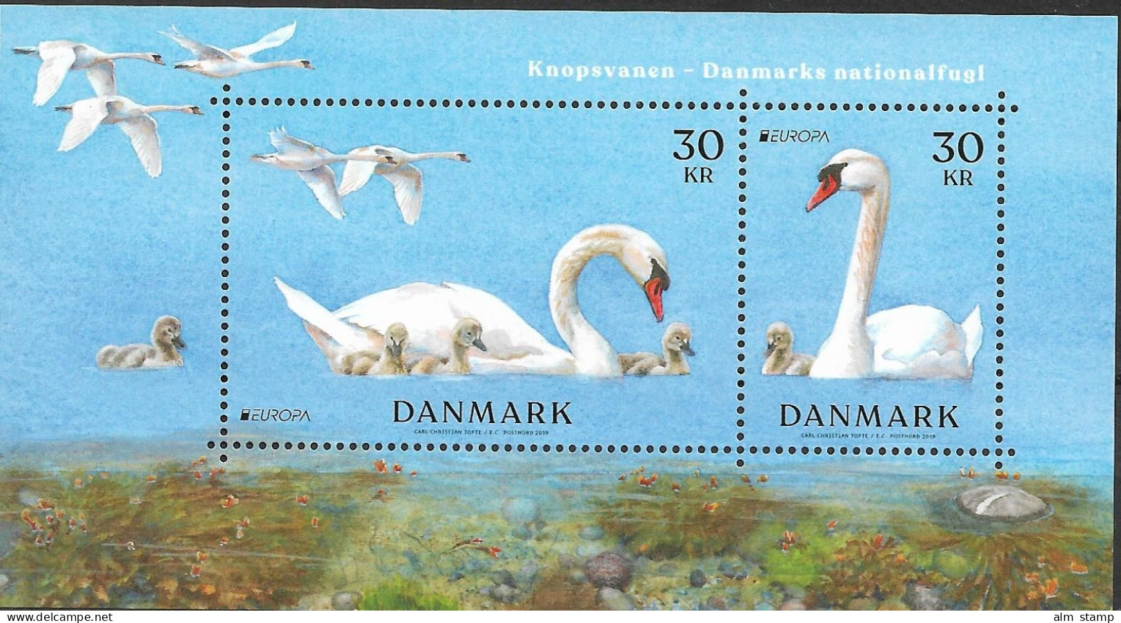 2019 Dänemark Mi. Bl. 72  **MNH -  Europa: Einheimische Vögel. Höckerschwan (Cygnus Olor) Mit Küken - 2019