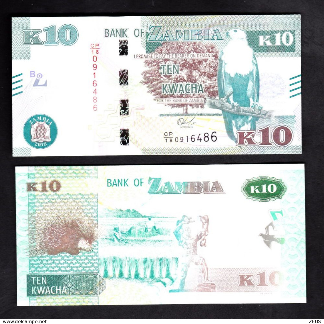 ZAMBIA 10 KWACHA 2018  PIK 58B FDS - Zambie