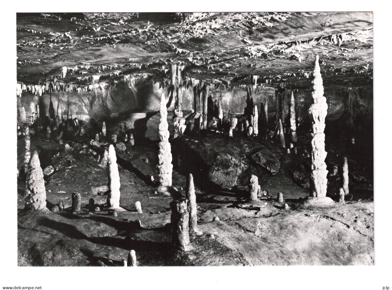 HOTTON - Grotte - Etranges Colonnes. - Hotton