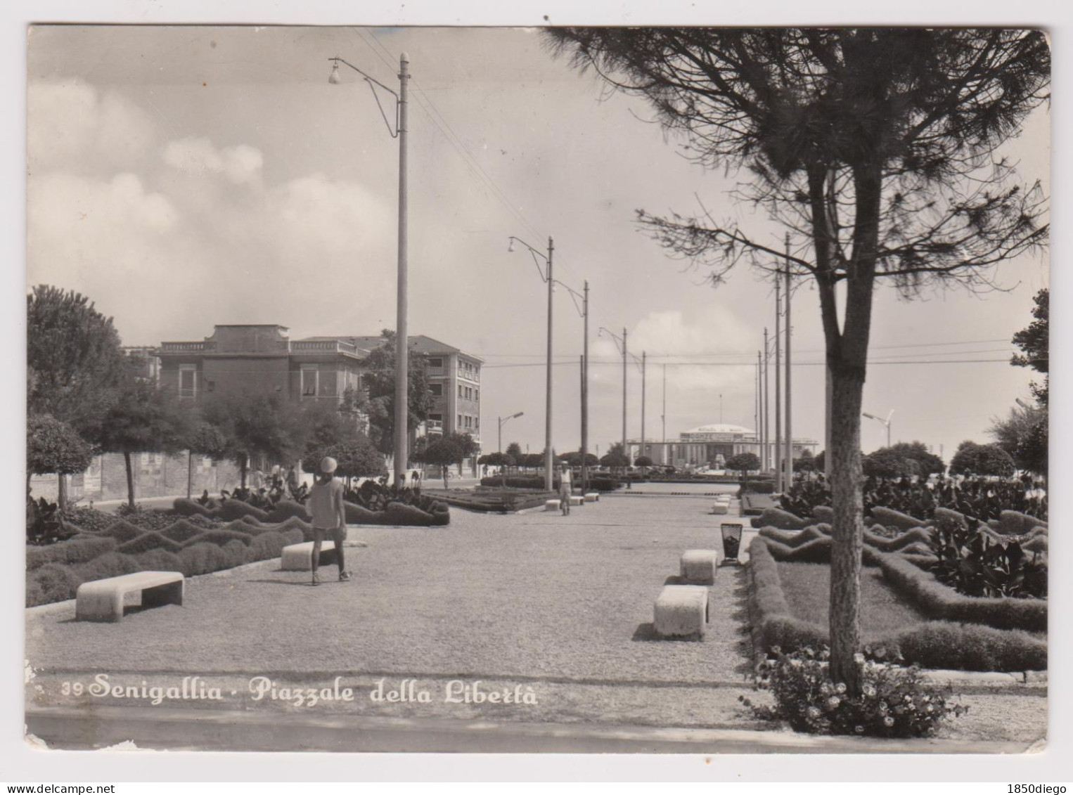 SENIGALLIA - PIAZZALE DELLA LIBERTA' F/GRANDE VIAGGIATA 1956 ANIMAZIONE - Senigallia