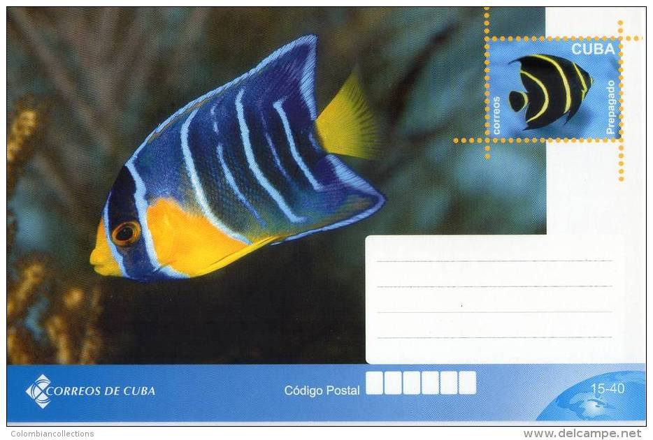 Lote TP32,  Cuba, 2011, Entero Postal, Postal Stationary, Pez, Fish, Fauna Post Card - Tarjetas – Máxima