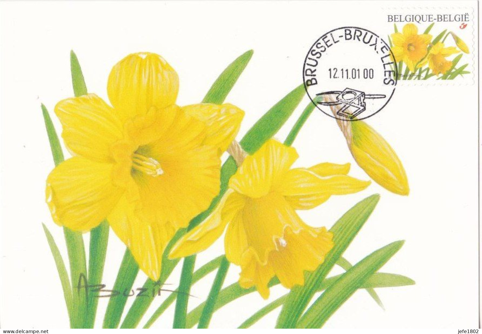 André BUZIN - Tulipa - Narcissus / MAX Card - 2001-2010