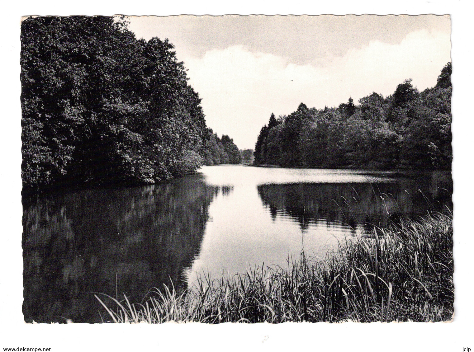 HABAY-LA-NEUVE - L'étang Du Chatelet. - Habay