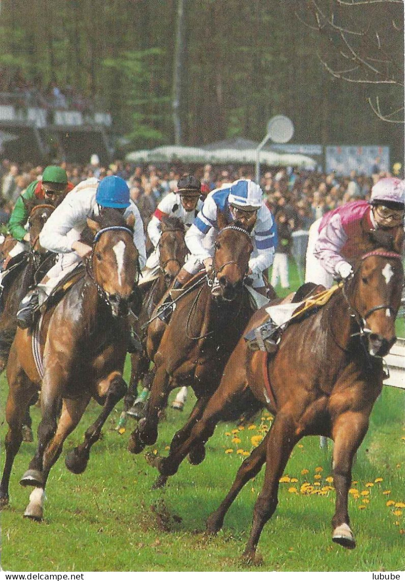 Aarau - Turf Rennen Im Schachen         Ca. 1990 - Aarau