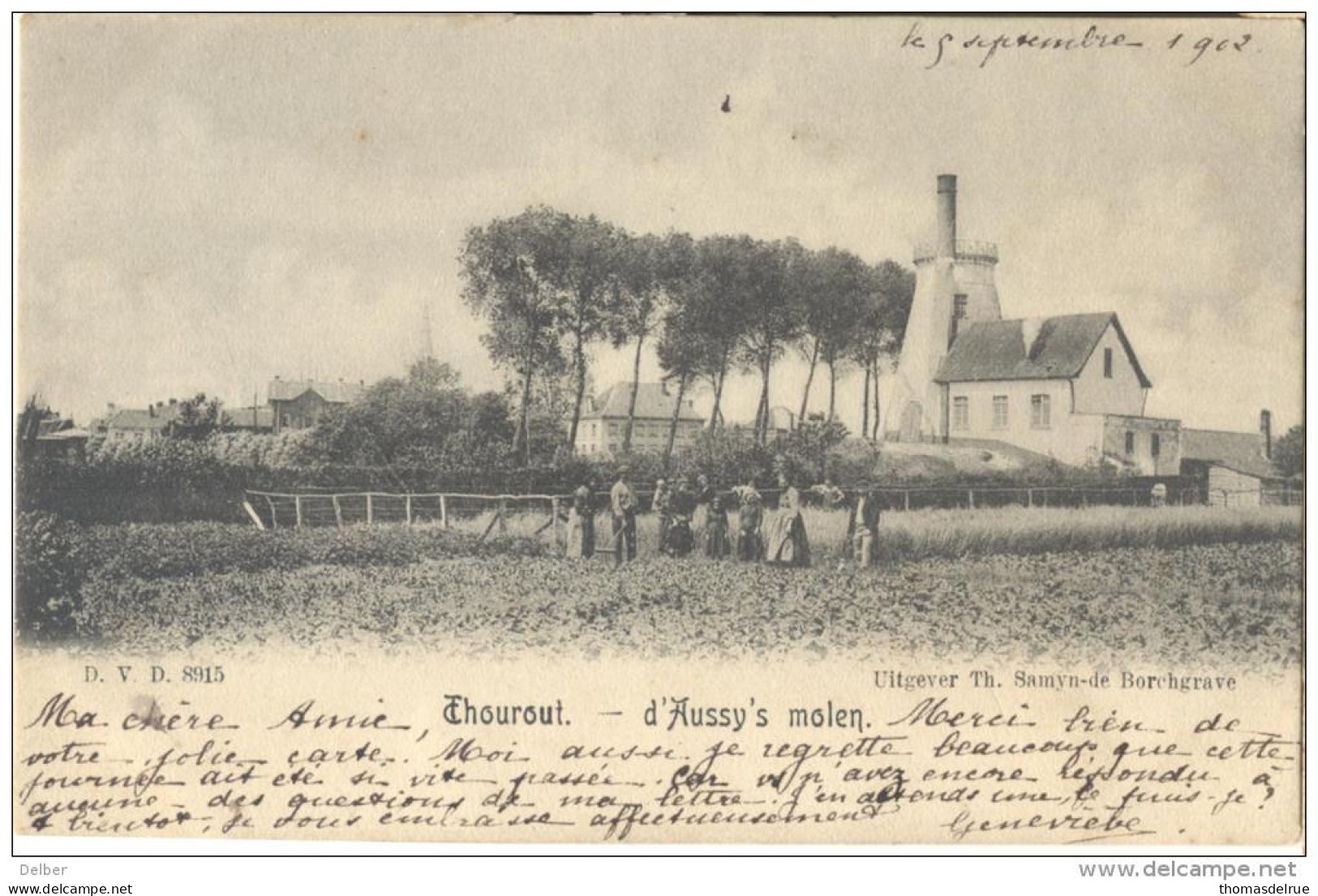 Op985: D.V.D. 8915 THOUROUT D'Aussy's Molen  Uitgever Th Samyn De Borchrave - Torhout