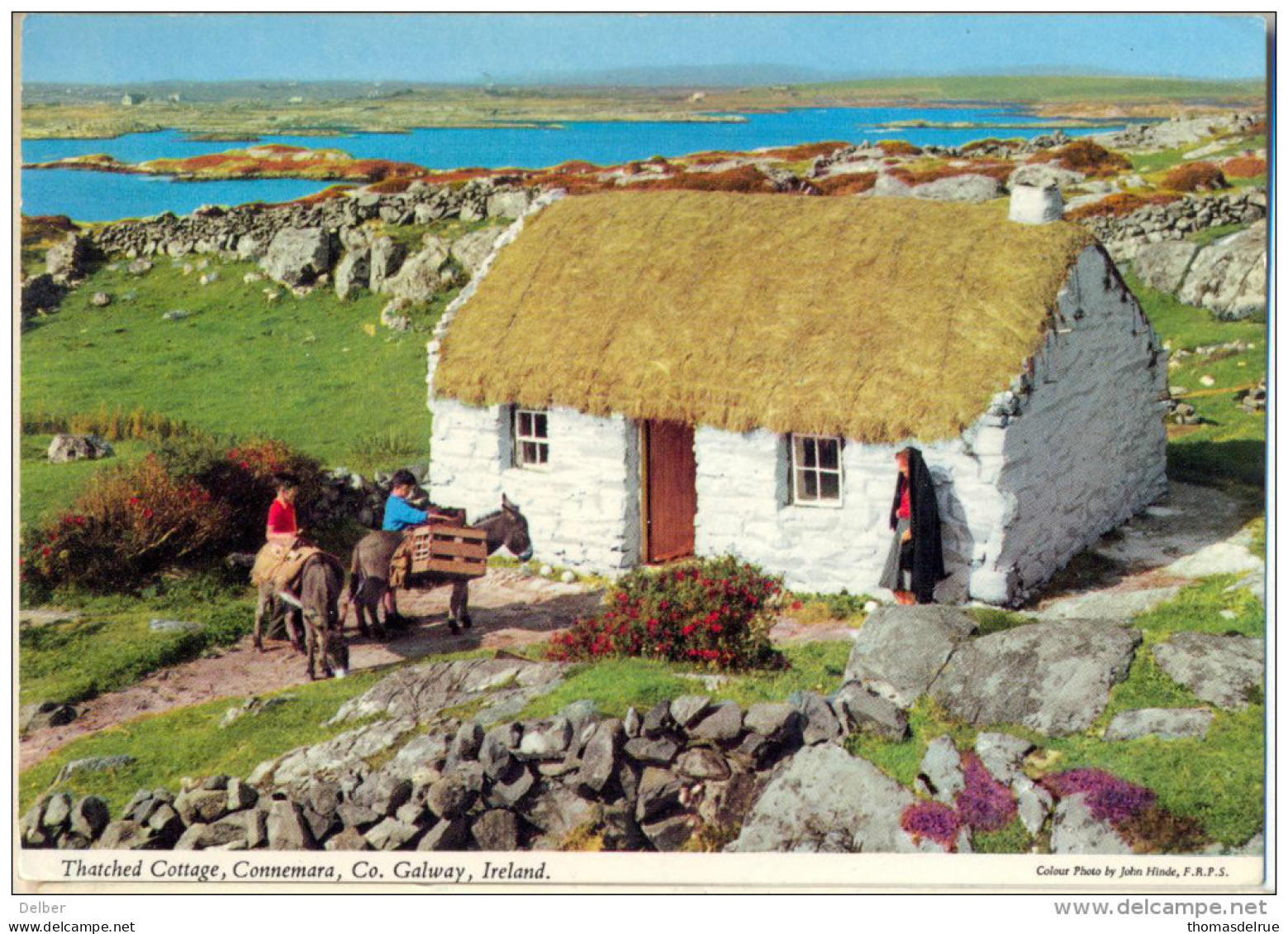 4Cp-391: Thatched Cottage,  Connemara, Co. Galway Ireland : Donkey - âne - Ezel - Galway