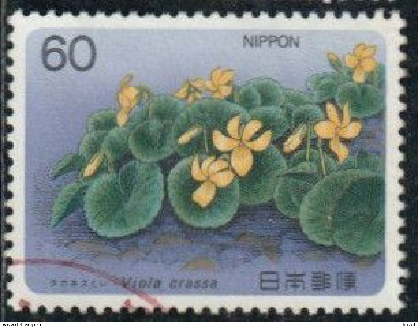 Japon 1985 Yv. N°1558 - Viola Crassa - Oblitéré - Gebruikt