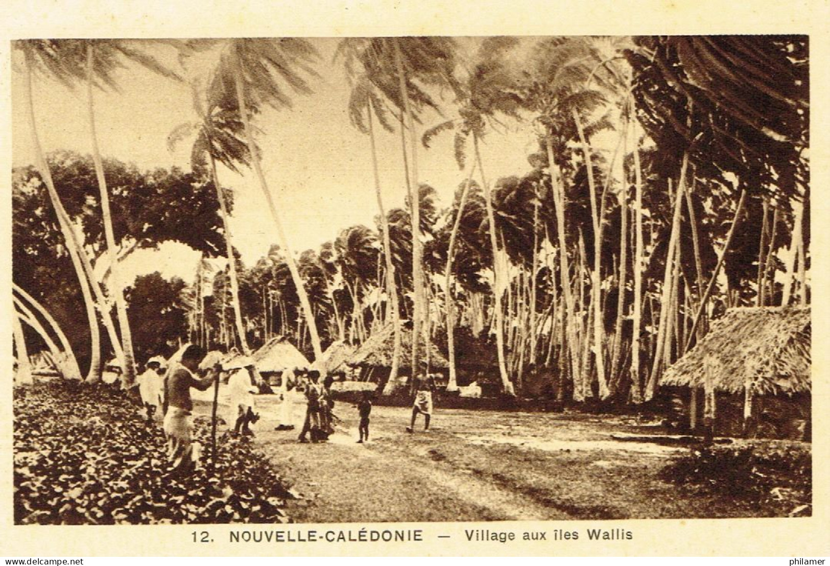 Wallis Et Futuna Uvea Carte Postale Postcard Ed Braun Paris Village Cocotier Coconut Neuve TBE - Wallis Y Futuna