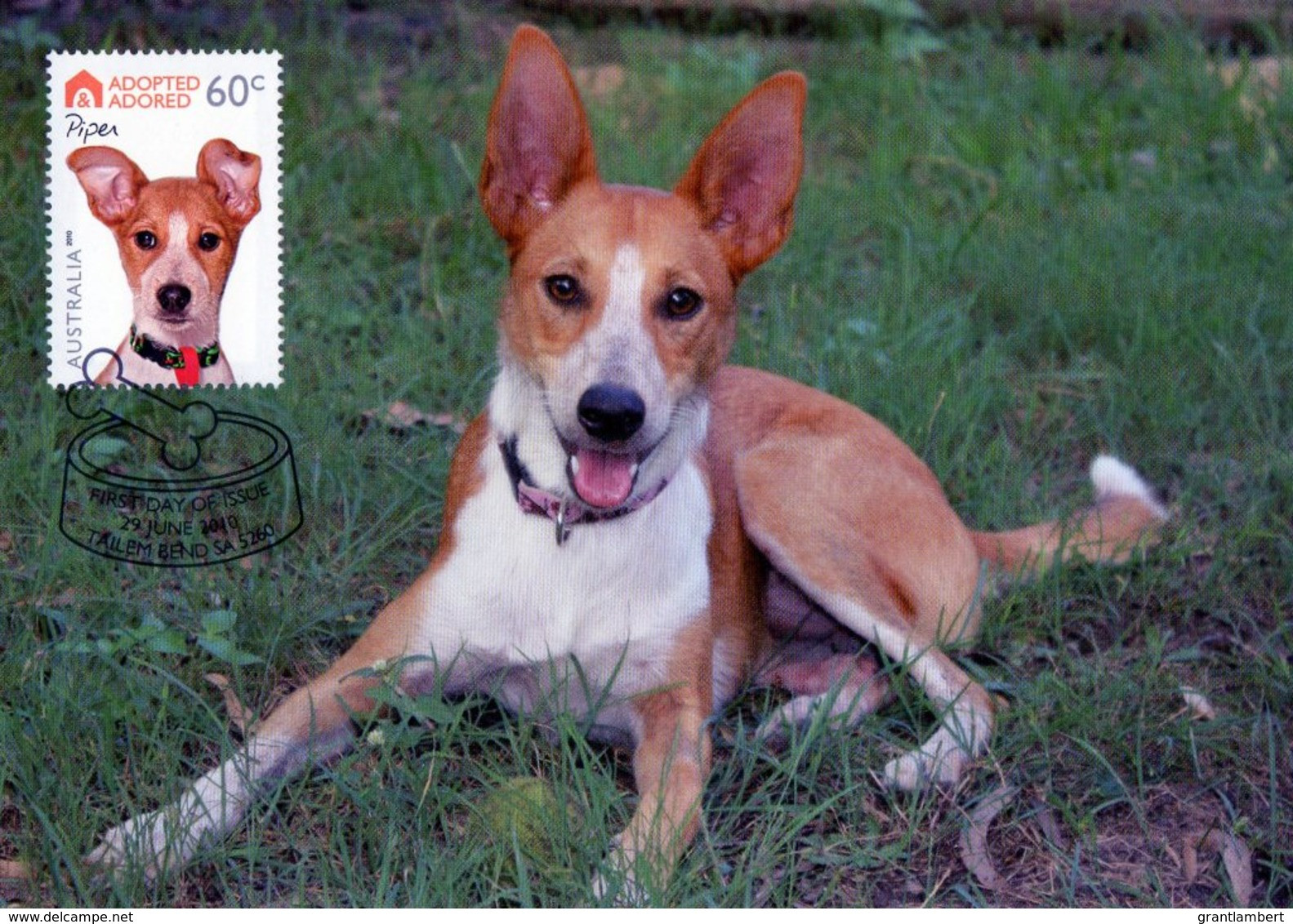 Australia 2010 Adopted And Adored - Dogs -  Piper Maximum Card - Cartas Máxima