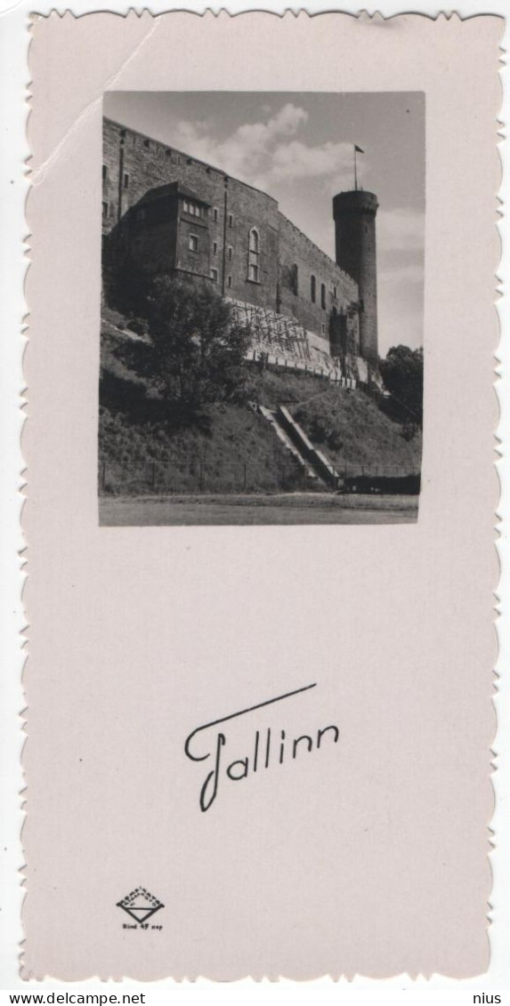 Estonia 1949 Tallinn, Size 12 X 6 Cm - Estonie